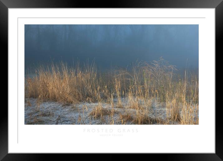 Frosted Grass Framed Mounted Print by Andrew Roland
