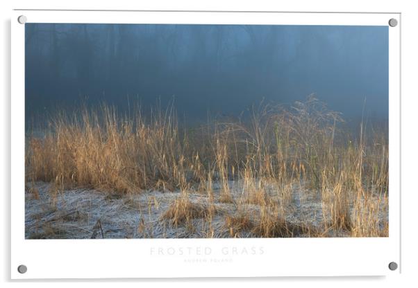 Frosted Grass Acrylic by Andrew Roland