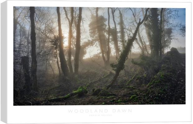 Woodland Dawn Canvas Print by Andrew Roland
