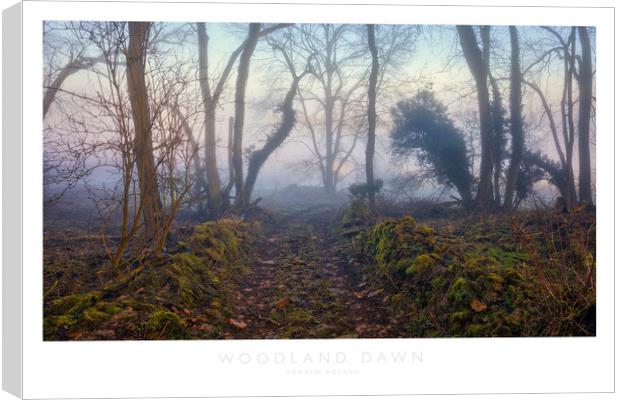 Woodland Dawn Canvas Print by Andrew Roland
