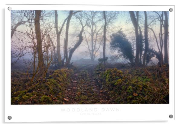Woodland Dawn Acrylic by Andrew Roland