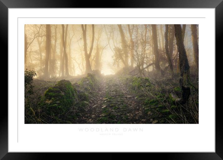 Woodland Dawn Framed Mounted Print by Andrew Roland
