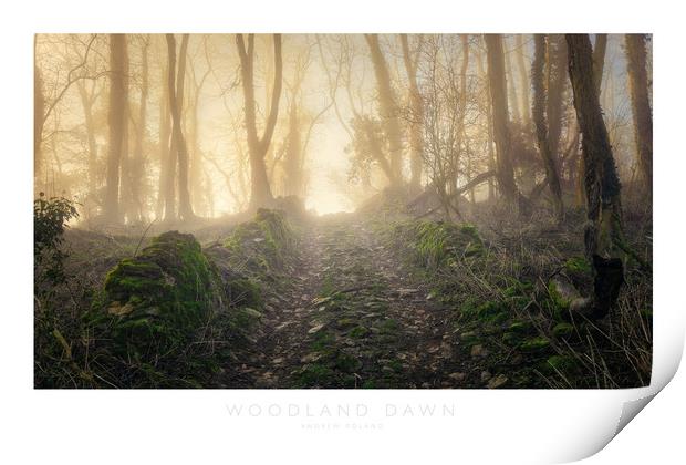 Woodland Dawn Print by Andrew Roland