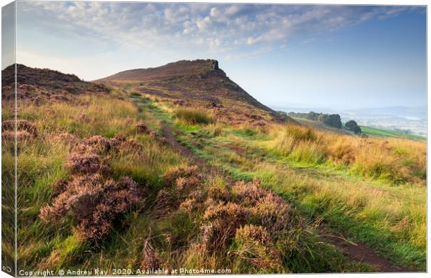 Path to Hen Cloud Canvas Print by Andrew Ray