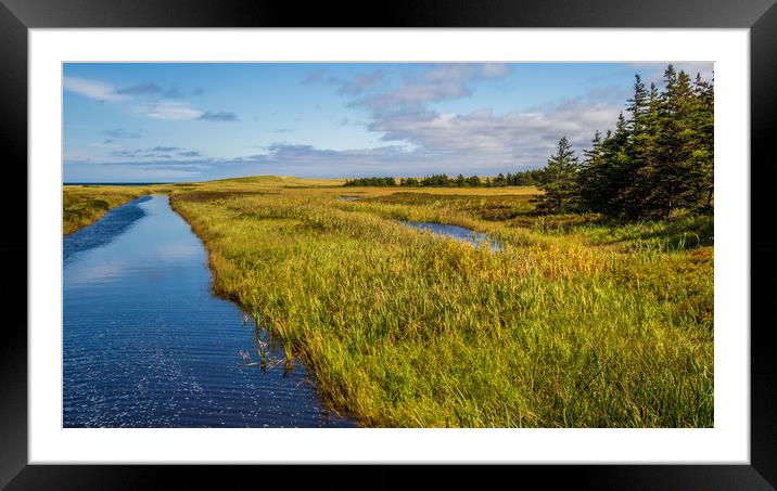 PEI Coast, Prince Edward Island, Canada Framed Mounted Print by Mark Llewellyn