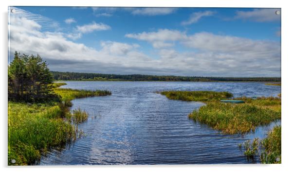 Marshes, Prince Edward Island, Canada Acrylic by Mark Llewellyn