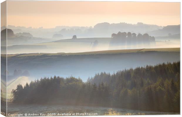 Trees in the mist (Peak District) Canvas Print by Andrew Ray