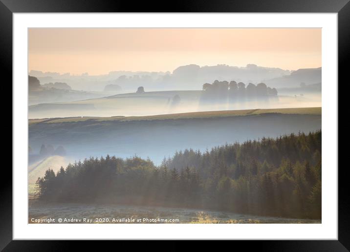 Trees in the mist (Peak District) Framed Mounted Print by Andrew Ray
