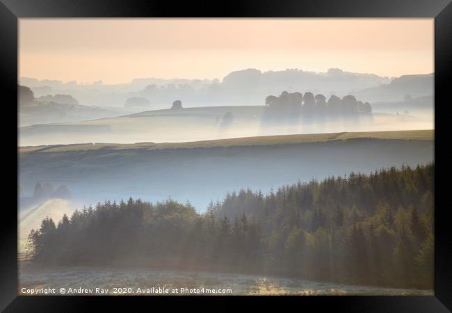 Trees in the mist (Peak District) Framed Print by Andrew Ray