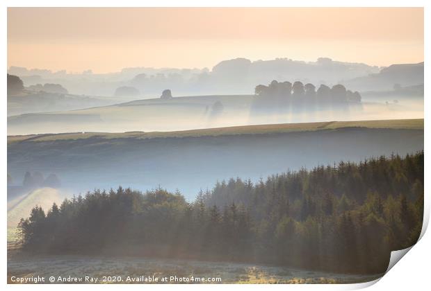 Trees in the mist (Peak District) Print by Andrew Ray