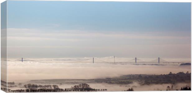 Out of the Mist Canvas Print by David Tinsley