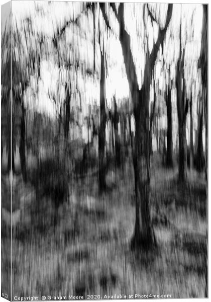 Motion blur trees abstract monochrome Canvas Print by Graham Moore