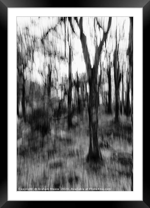 Motion blur trees abstract monochrome Framed Mounted Print by Graham Moore