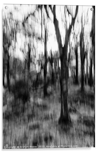 Motion blur trees abstract monochrome Acrylic by Graham Moore
