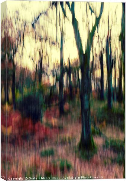 Motion blur trees abstract Canvas Print by Graham Moore