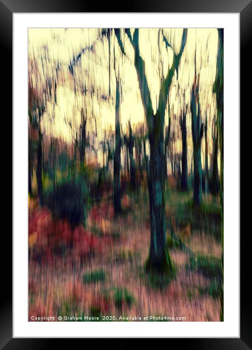 Motion blur trees abstract Framed Mounted Print by Graham Moore