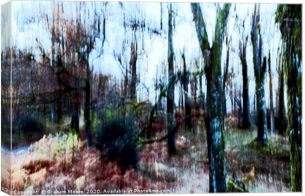 Motion blur trees abstract Canvas Print by Graham Moore