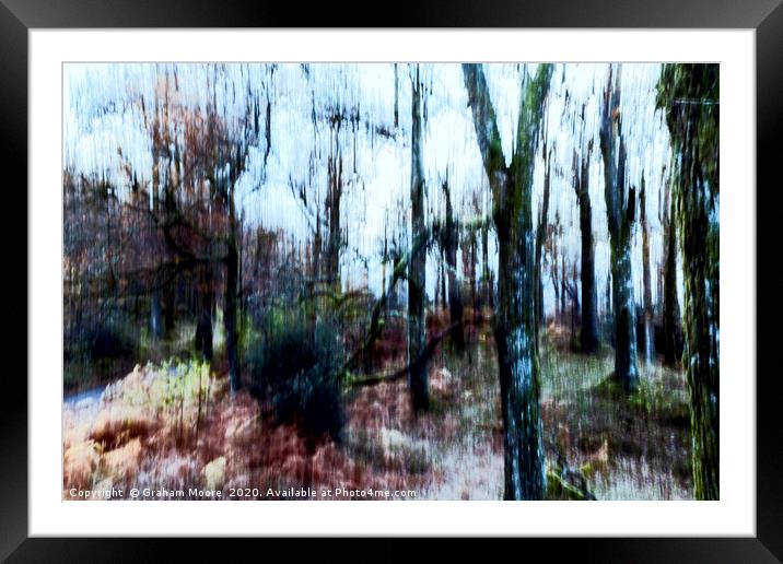 Motion blur trees abstract Framed Mounted Print by Graham Moore