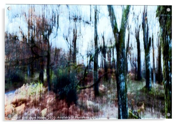 Motion blur trees abstract Acrylic by Graham Moore