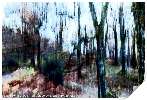 Motion blur trees abstract Print by Graham Moore