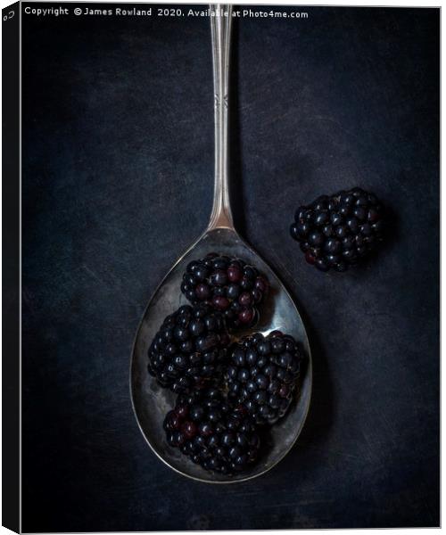 Blackberries Canvas Print by James Rowland