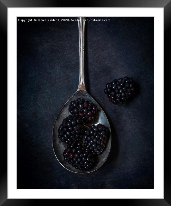 Blackberries Framed Mounted Print by James Rowland