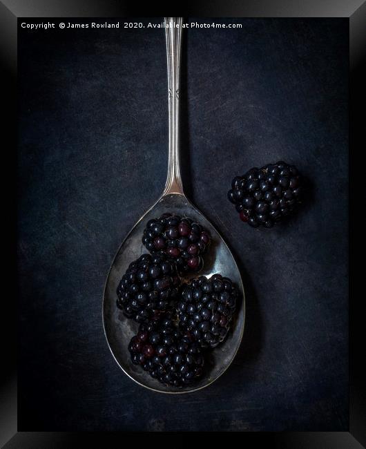 Blackberries Framed Print by James Rowland