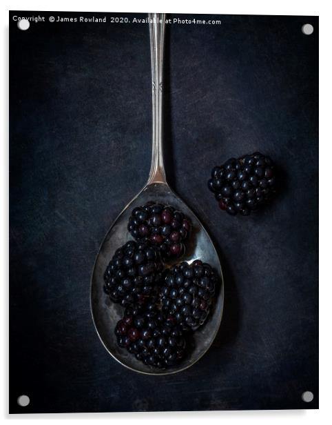 Blackberries Acrylic by James Rowland