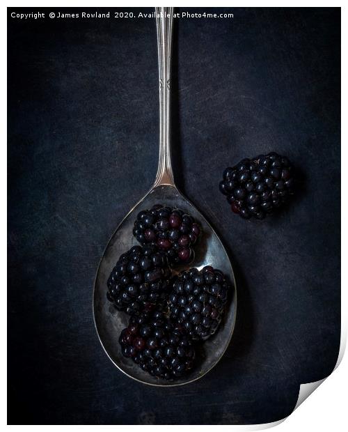 Blackberries Print by James Rowland