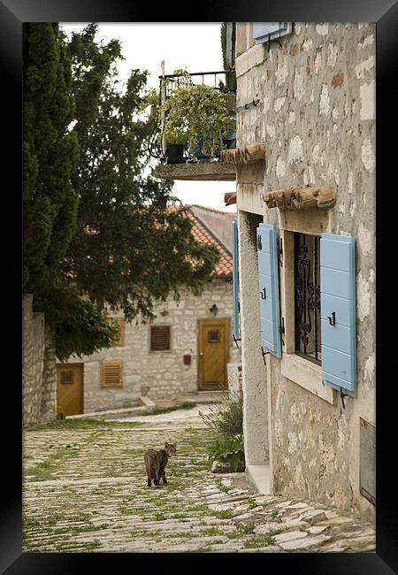 Rovinj, Croatia Framed Print by Ian Middleton