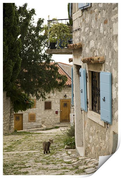 Rovinj, Croatia Print by Ian Middleton
