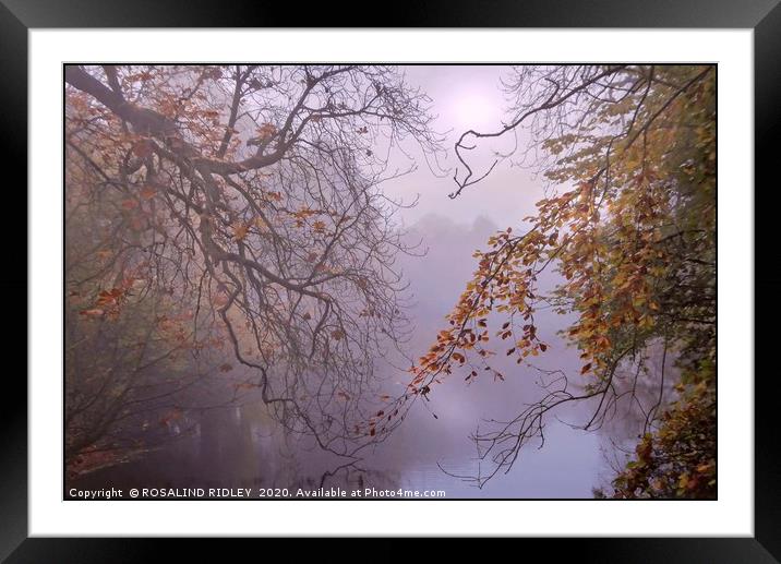 "Aujtumn leaves by a foggy lake" Framed Mounted Print by ROS RIDLEY
