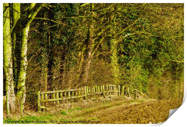 Farnley to Leathley Footpath Print by Steven Watson