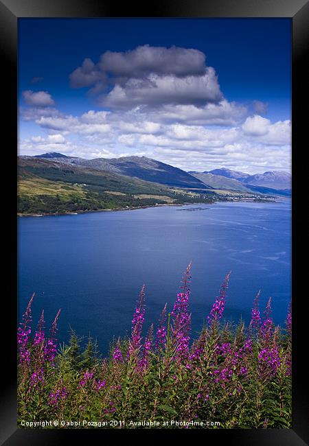 View of Lochcarron in Scotland Framed Print by Gabor Pozsgai