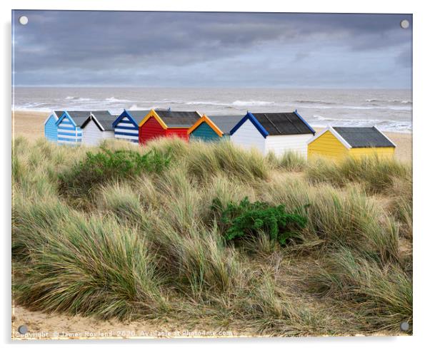 Colourful Beach Huts Acrylic by James Rowland