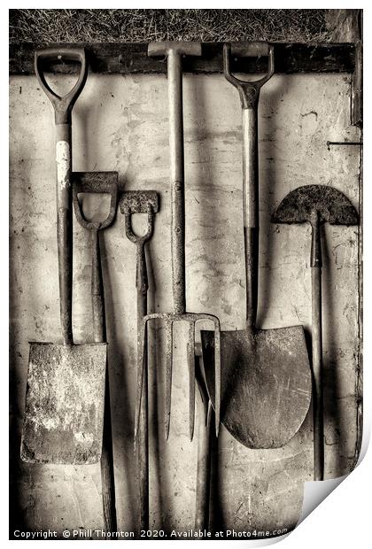 Traditional tools series No. 4 Print by Phill Thornton
