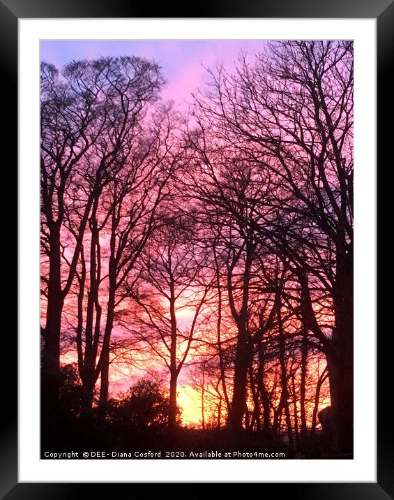 Sunset through Trees in Cumbria, The Lake District Framed Mounted Print by DEE- Diana Cosford