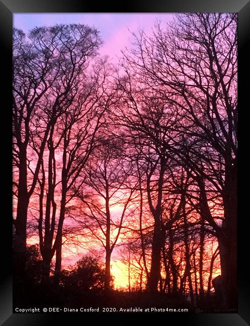 Sunset through Trees in Cumbria, The Lake District Framed Print by DEE- Diana Cosford