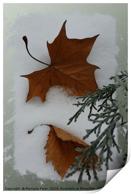 Maple leaves Print by Marinela Feier
