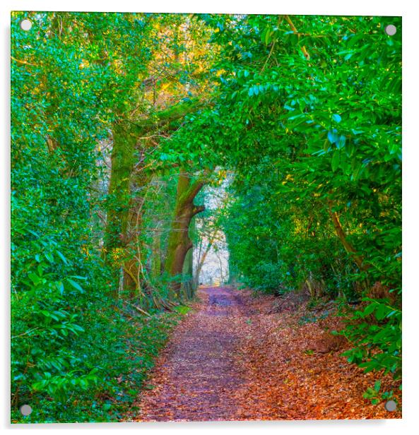 Foot Path Walk Acrylic by Clive Eariss