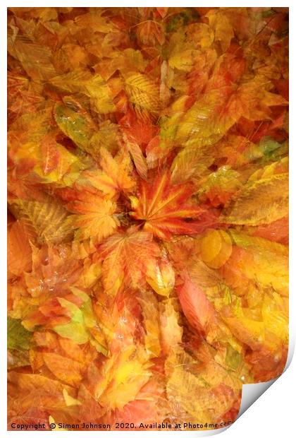 Autumn Leaf Collage Print by Simon Johnson