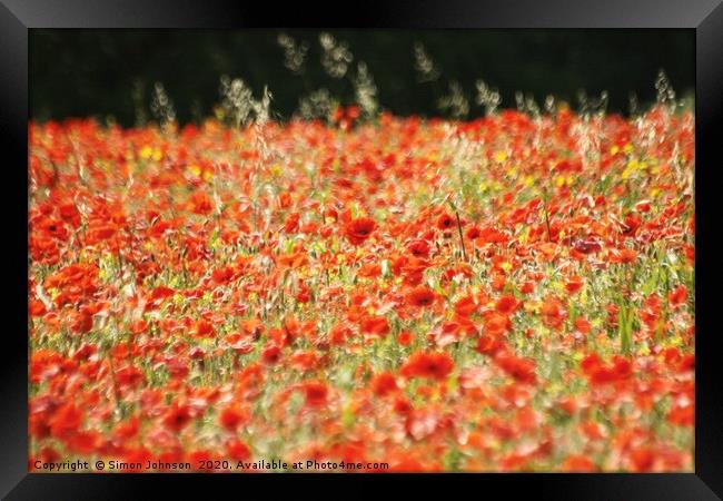 Poppy field Framed Print by Simon Johnson