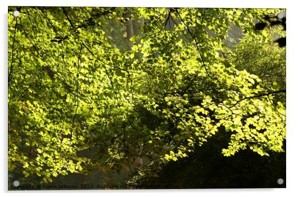 Sunlit Spring leaves Acrylic by Simon Johnson