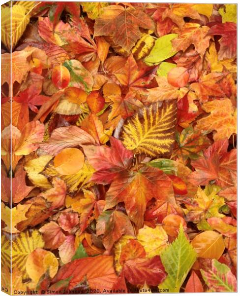 Autumn leaves Collage Canvas Print by Simon Johnson