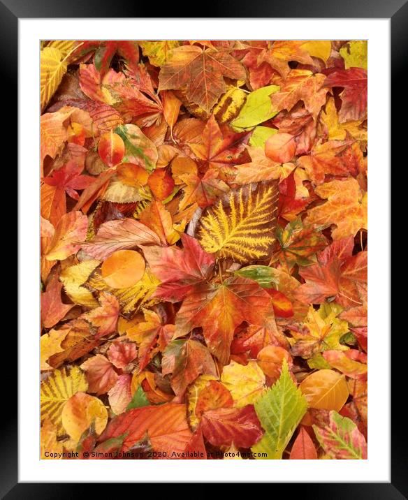 Autumn leaves Collage Framed Mounted Print by Simon Johnson