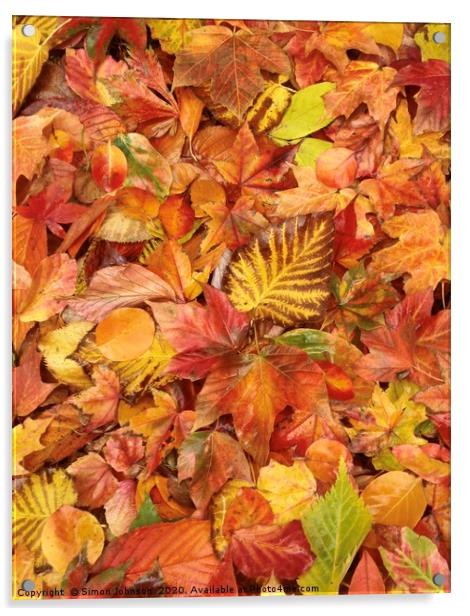 Autumn leaves Collage Acrylic by Simon Johnson