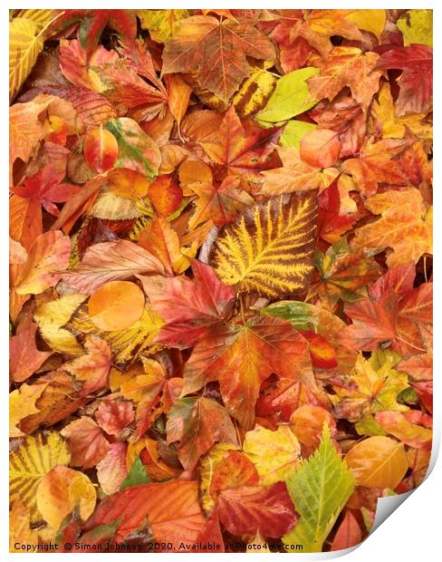 Autumn leaves Collage Print by Simon Johnson