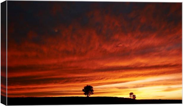 Cotswold Sunset Canvas Print by Simon Johnson