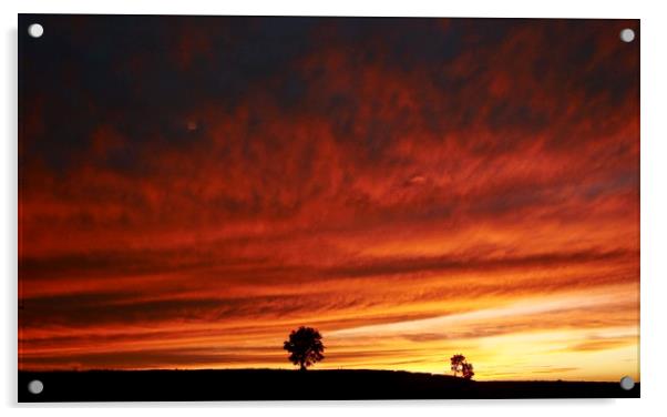 Cotswold Sunset Acrylic by Simon Johnson