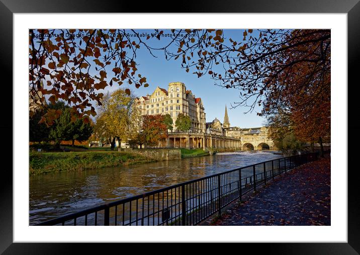 Autumn down at Pulteney Weir Framed Mounted Print by Duncan Savidge